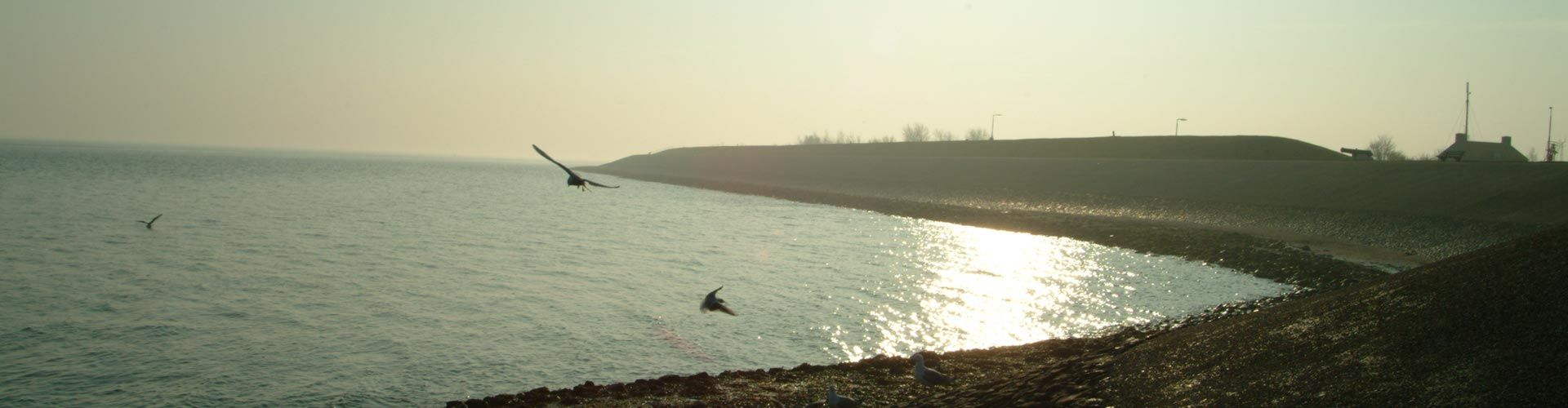 texel-water-slider-dijk-kustlijn.jpg